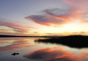 We Love Winter Sunsets in the Nuwejaars Wetlands!