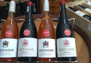In Stock: Packwood from Plett