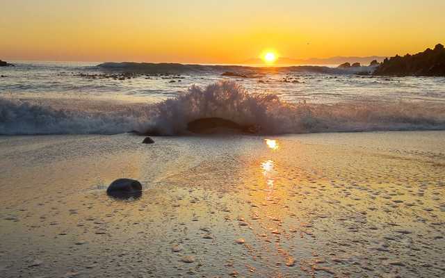 WhatsApp_Image_2022_06_30_at_11.56.50_AM_3__1656588838