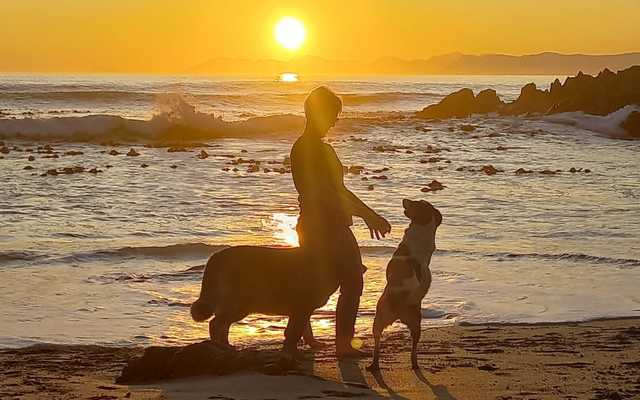 WhatsApp_Image_2022_06_30_at_11.56.51_AM_1656588839