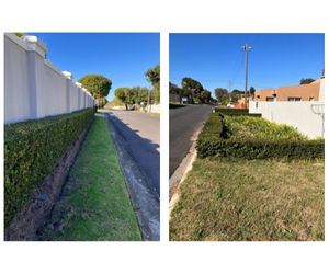 Sidewalk Gardening and Pedestrian-Friendly Features