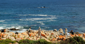 The all-time marine season is here!