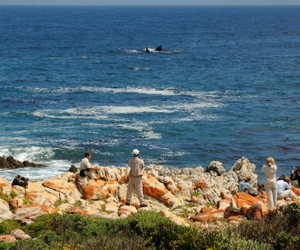 The all-time marine season is here!