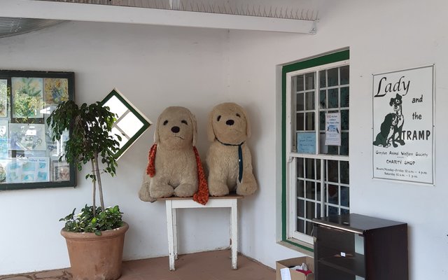 Store - Lady & The Tramp - d Lodge - Xplorio™ Greyton