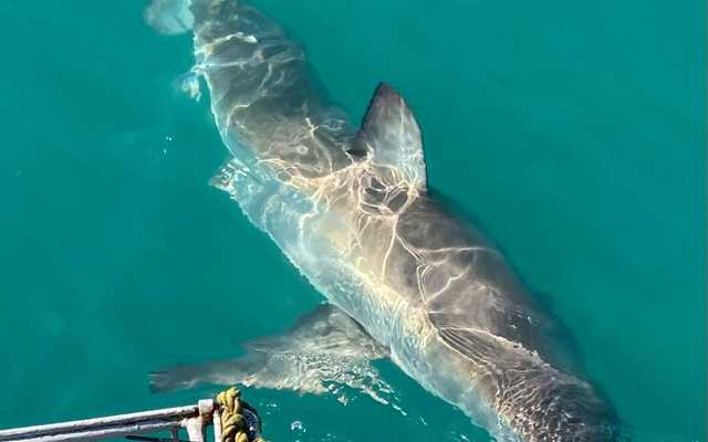 290582476_5329565930415212_3422060557137990310_n_1657016372