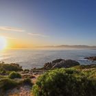 View over Ocean in Gansbaai by Bianca Smith