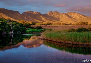 Do You Want To Know A Secret About The Sun?