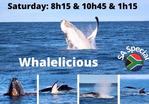 Next Dyer Island Marine Big 5 Tour: 9 July 2022