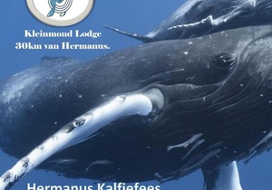 4 - 9 August 2022: Hermanus Kalfiefees