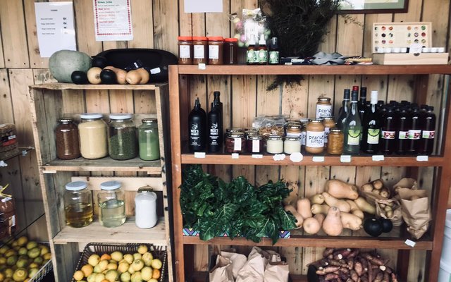 Store - RAW - Xplorio™ Greyton