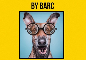 Pet Boarding / Kennel