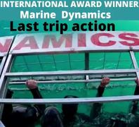 Next Marine Dynamics Shark Cage Diving Trip: 21 July 2022