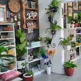 PLAASlik - Xplorio™ Gansbaai 