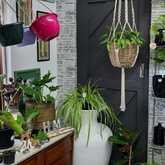 PLAASlik - Xplorio™ Gansbaai 