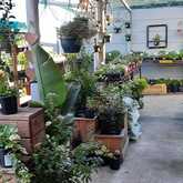 PLAASlik - Xplorio™ Gansbaai 