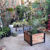 PLAASlik - Xplorio™ Gansbaai 