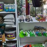 PLAASlik - Xplorio™ Gansbaai 