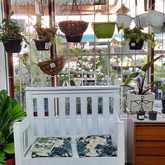 PLAASlik - Xplorio™ Gansbaai 