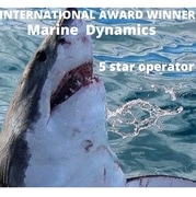 Next Marine Dynamics Shark Cage Diving Trip: 26 July 2022