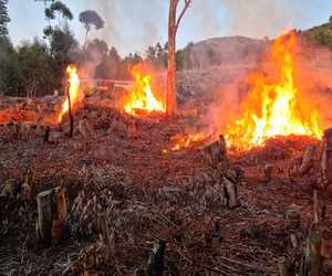 Notice of Prescribed Burn in Hemel-en-Aarde Valley Today 26.07.2022