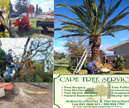 Collage_Services_1659090282