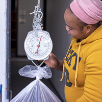 Weighing Laundry - Dolphin Laundry and Eco Clean & Care - Xplorio™ Gansbaai