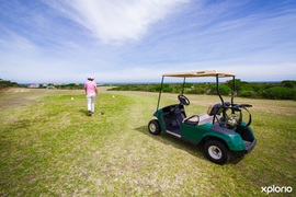 Golf Competition Results for 27 - 31 July 2022