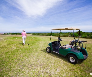 Golf Competition Results for 27 - 31 July 2022