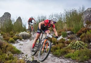 Wine 2 Whales Is Around The Corner!