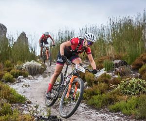 Wine 2 Whales Is Around The Corner!