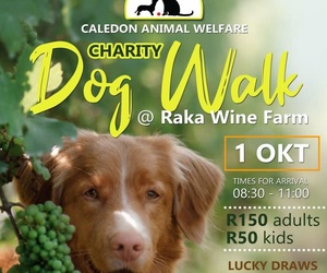 1 October 2022: Charity Dog Walk at Raka Wine Farm