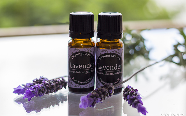 kleinmond_beauty_and_well_being_holistic_healing_libera_sum_intergrated_healing_lavender_pure_essential_oil_1574778463_1659509615