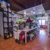 Flowers For Sale - Fynbos Shoppe and Coffee Shoppe - Xplorio™ Gansbaai
