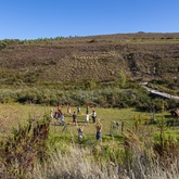 Out In Nature - Voice, Movement & Art Exploration Retreat - Xplorio™ Gansbaai 