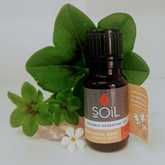 SOil Corinne Seed Essential Oil - Mirre & Kaneel Essensiële Olies / Essential Oils - Xplorio™ Kleinmond