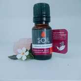 SOil Cinnamon Leaf Essential Oil - Mirre & Kaneel Essensiële Olies / Essential Oils - Xplorio™ Kleinmond