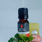 SOil Lime Essential Oil - Mirre & Kaneel Essensiële Olies / Essential Oils - Xplorio™ Kleinmond