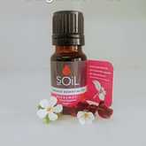 SOil Bergamot Essential Oil - Mirre & Kaneel Essensiële Olies / Essential Oils - Xplorio™ Kleinmond