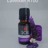 SOil Lavender Essential Oil - Mirre & Kaneel Essensiële Olies / Essential Oils - Xplorio™ Kleinmond
