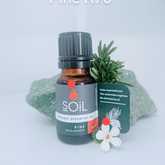SOil Pine Essential Oil - Mirre & Kaneel Essensiële Olies / Essential Oils - Xplorio™ Kleinmond