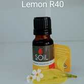 SOil Lemon Essential Oil - Mirre & Kaneel Essensiële Olies / Essential Oils - Xplorio™ Kleinmond