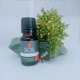 SOil Cedarwood Essential Oil - Mirre & Kaneel Essensiële Olies / Essential Oils - Xplorio™ Kleinmond
