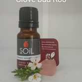 SOil Clove Bud Essential Oil - Mirre & Kaneel Essensiële Olies / Essential Oils - Xplorio™ Kleinmond