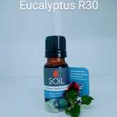 SOil Eucalyptus Essential Oil - Mirre & Kaneel Essensiële Olies / Essential Oils - Xplorio™ Kleinmond