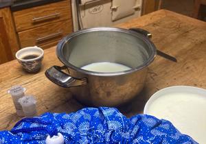 Get a taste of farm life at Beloftebos!