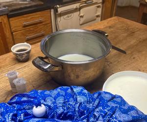 Get a taste of farm life at Beloftebos!