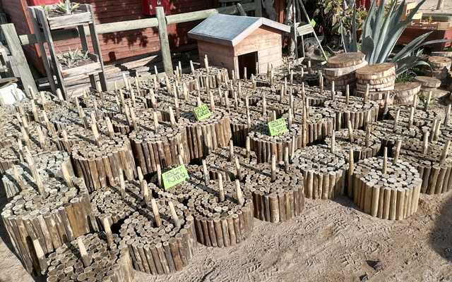 WhatsApp_Image_2022_08_15_at_11.21.48_AM_1__1660563045