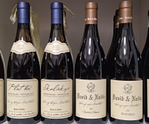 In Stock: David & Nadia