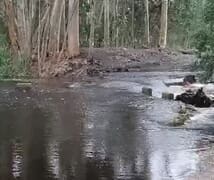 Water everywhere after the recent rain!