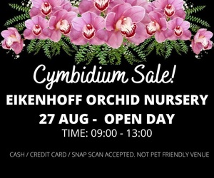 27 August 2022: Eikenhoff Orchid Nursery Open Day
